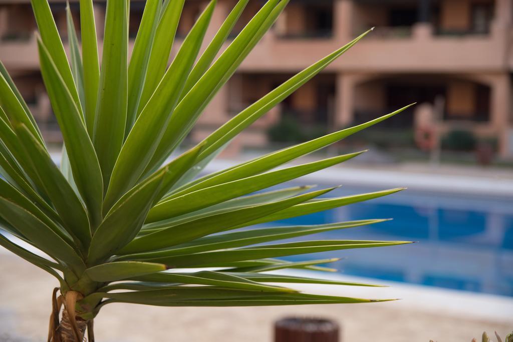 Apartamentos Turisticos Spiritmar Алмеримар Екстериор снимка